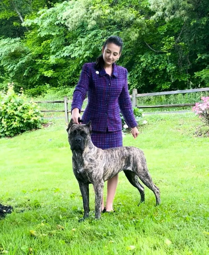 Furia in the owner-selected show photograph