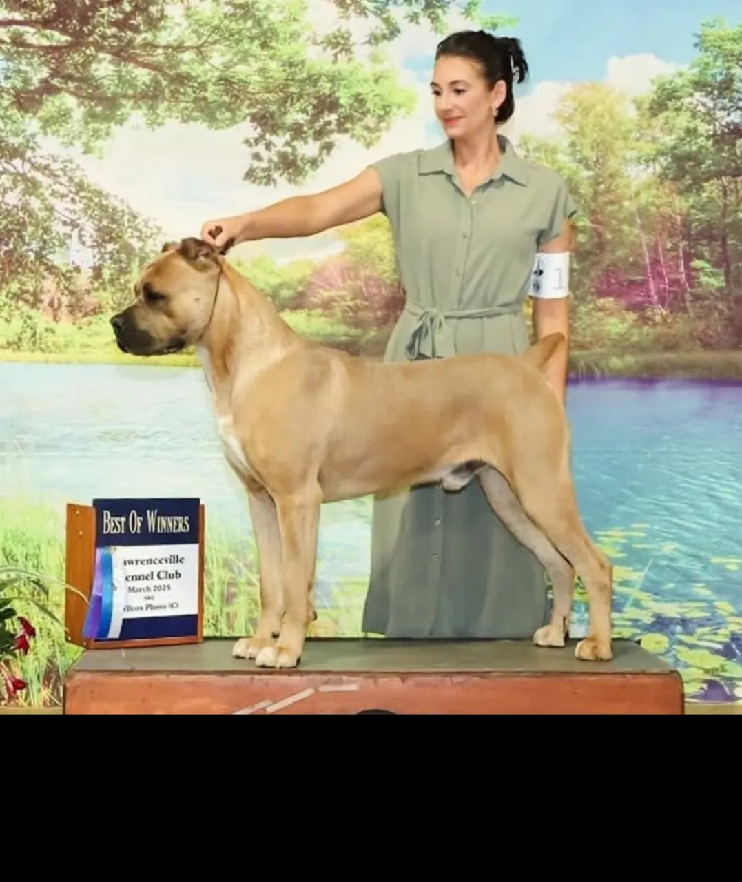 Wrath in the owner-selected show photograph